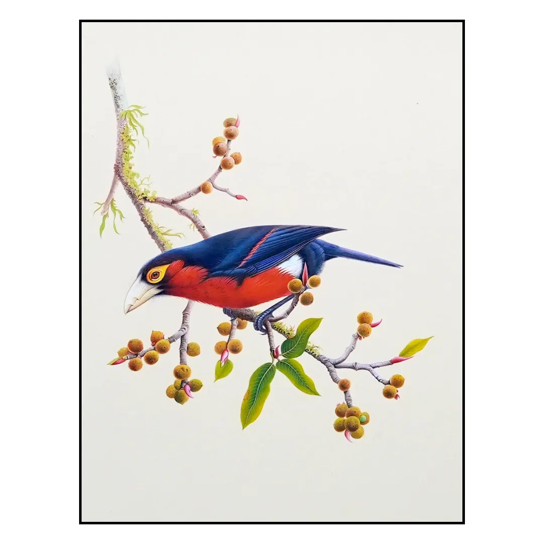 The Orchard Jewel
