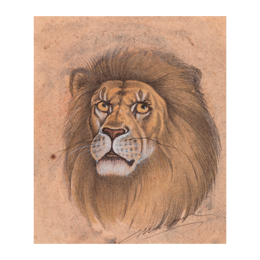 Gaze of the Regal Lion