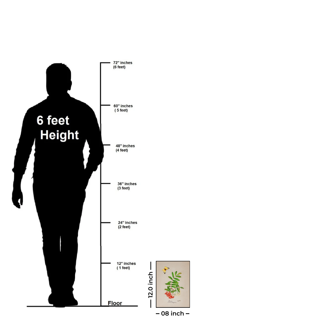 Rowan Branch with Berries