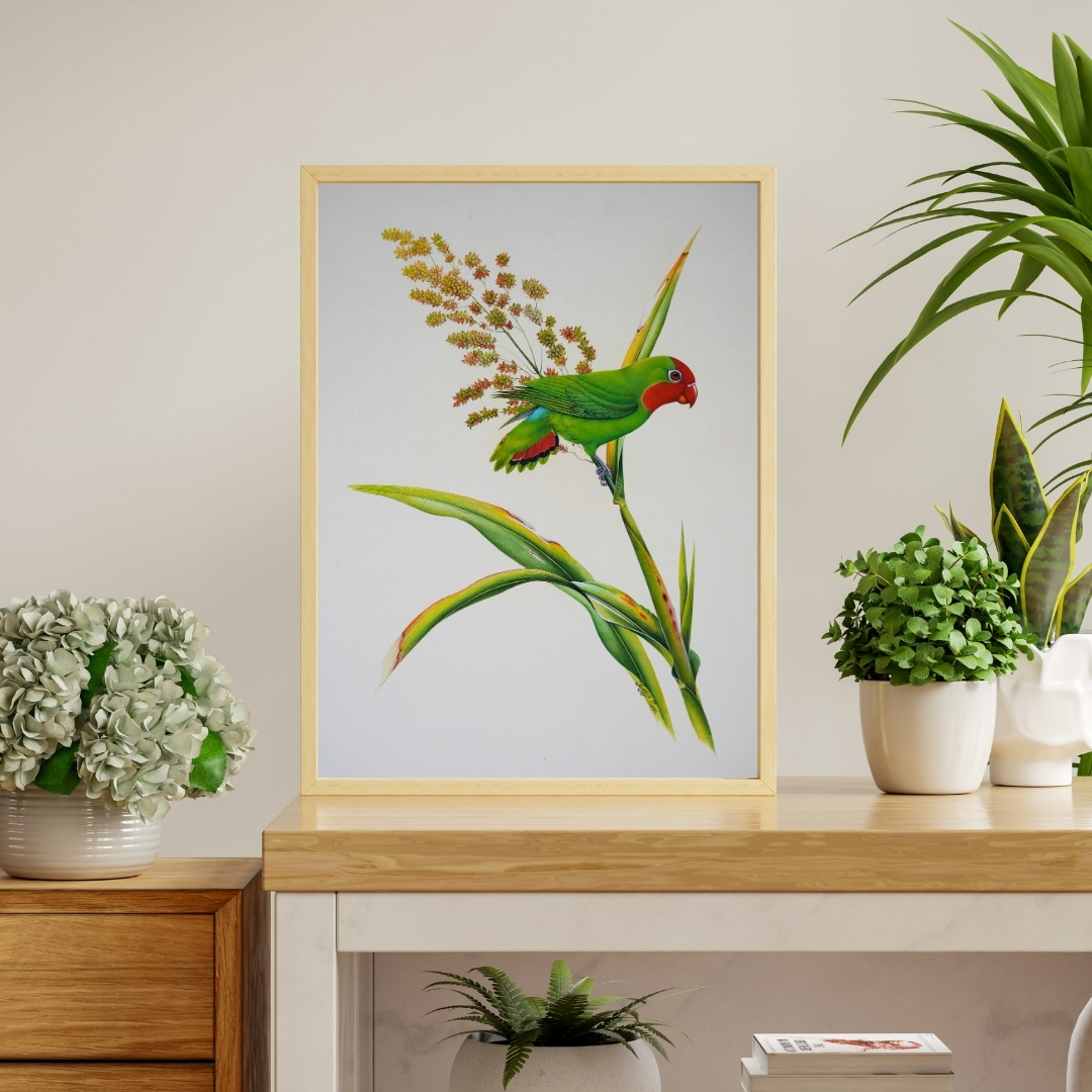 Green Parakeet by Jaggu Prasad