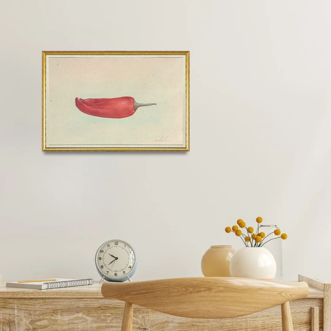 Chili Pepper (Capsicum Frutescens)