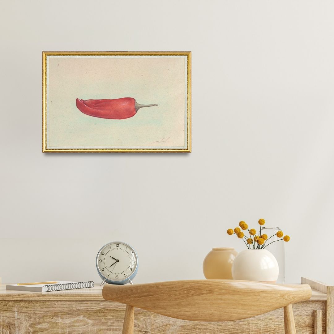 Chili Pepper (Capsicum Frutescens)