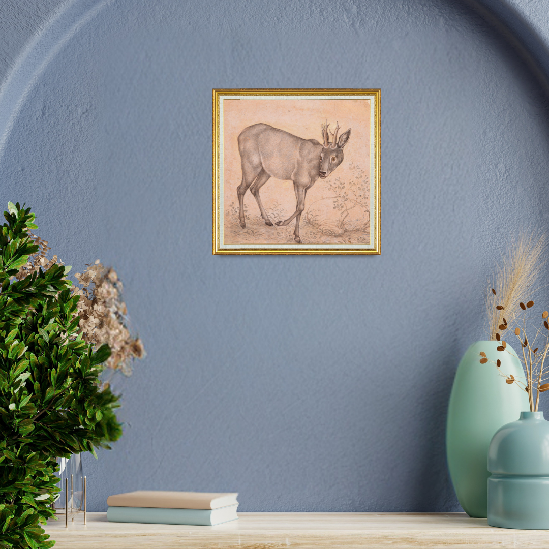 Gentle Step of the Young Stag