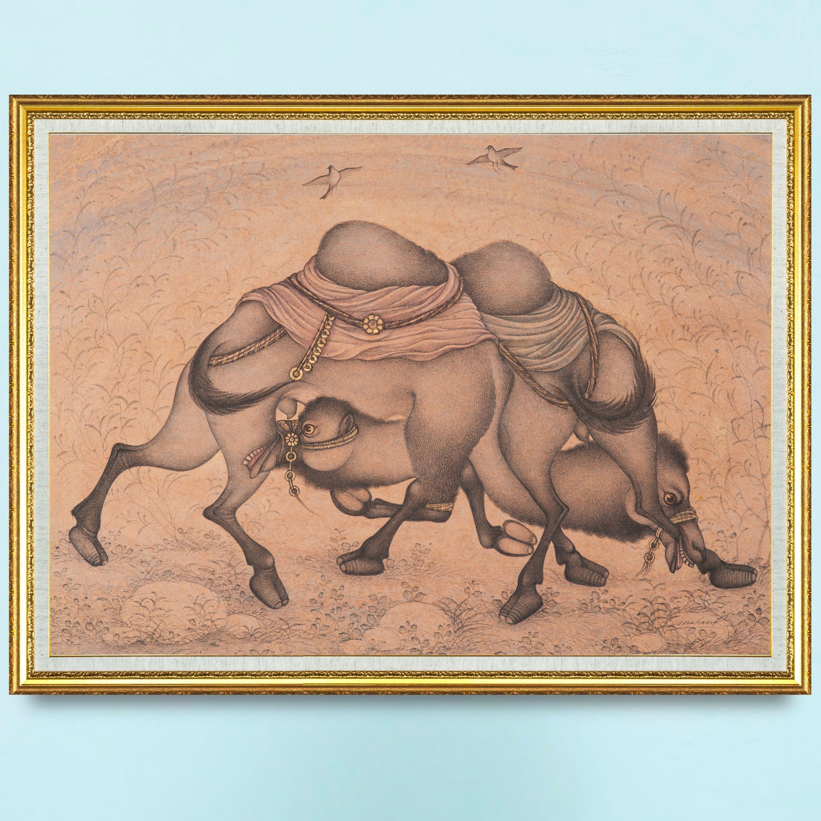 Tangle of the Restless Camels