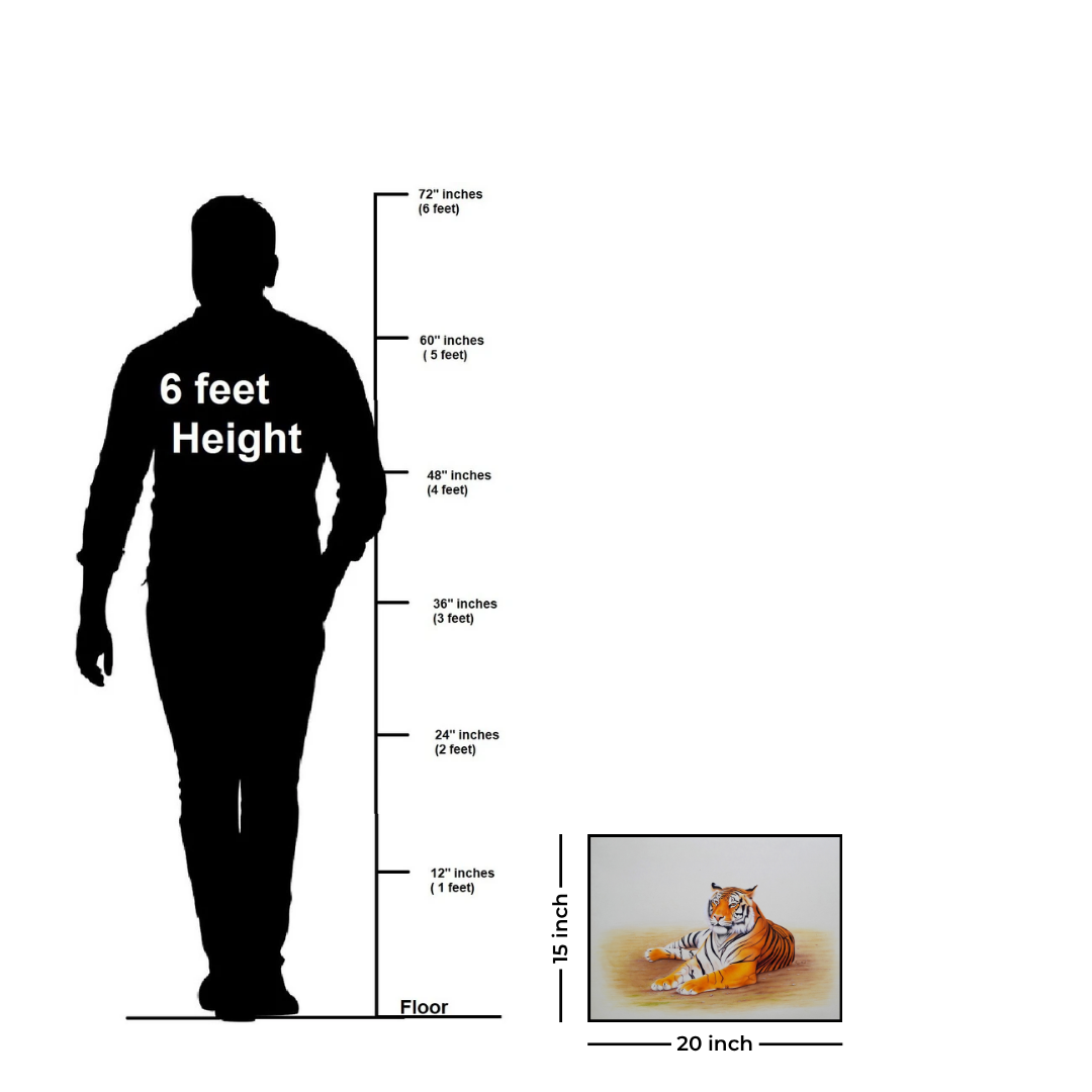 Eyes that Hold the Forest