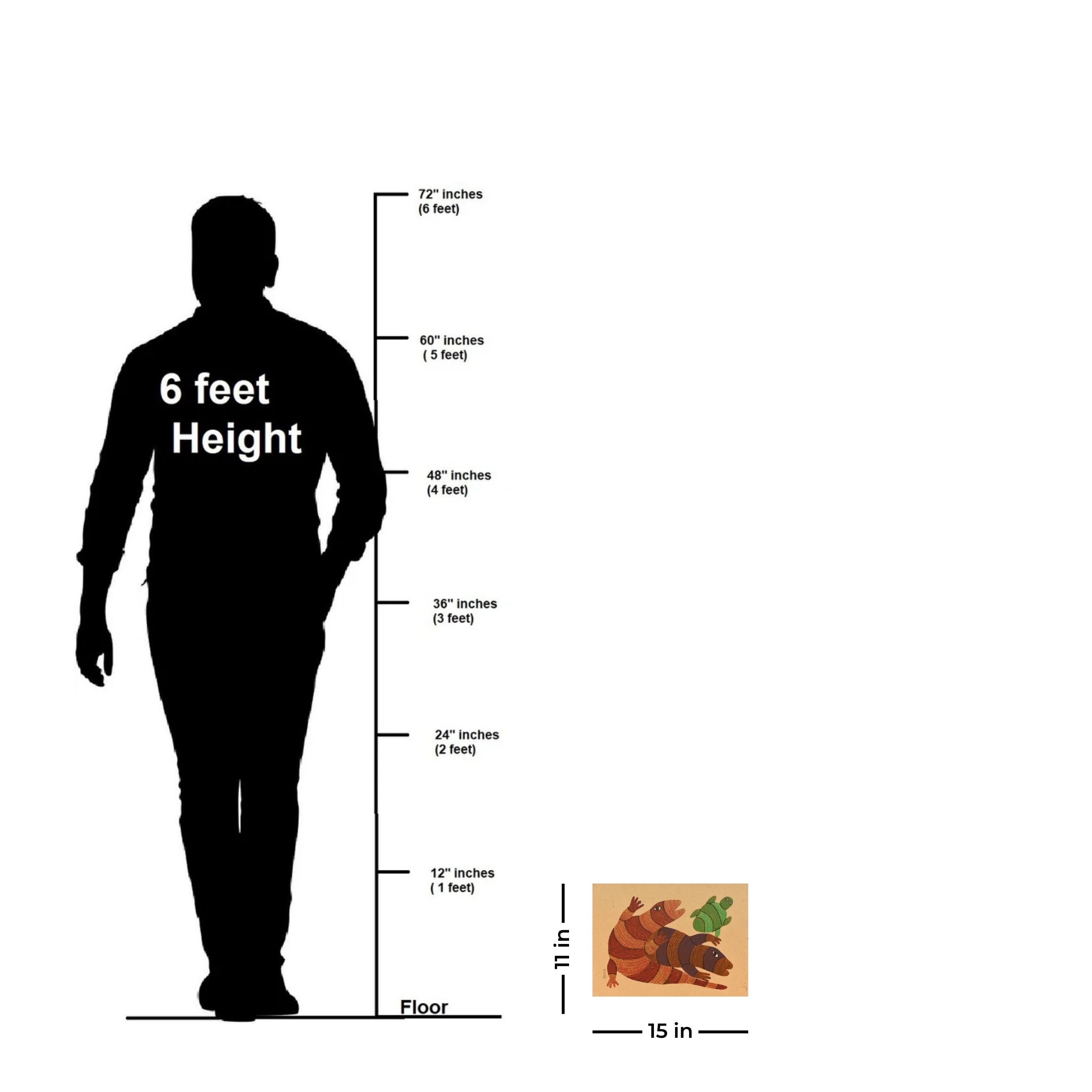 Lizards and Tortoise