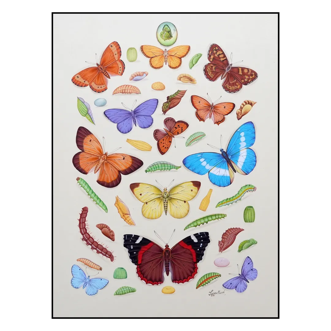 The Spring’s Flight