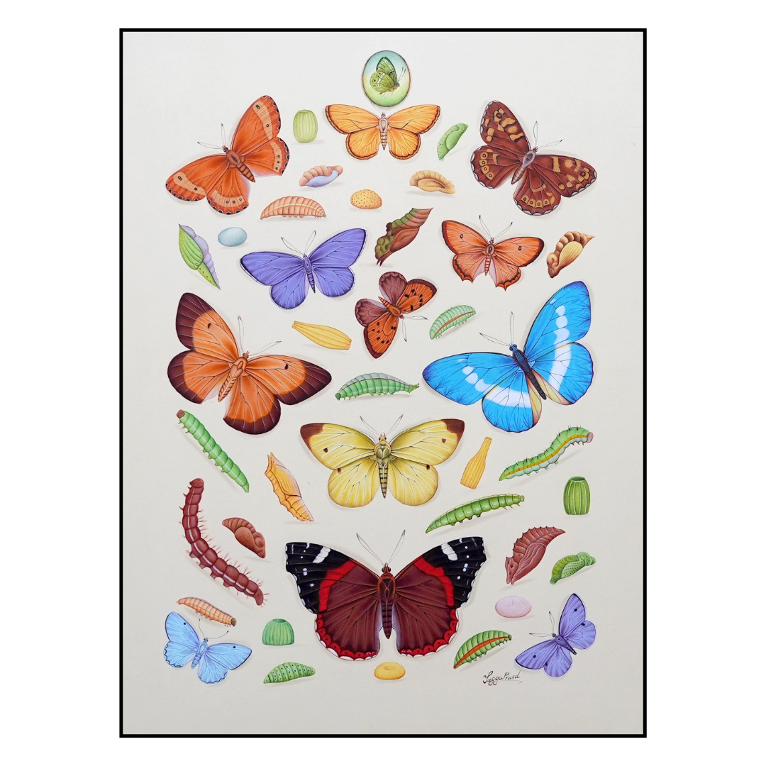 The Spring’s Flight