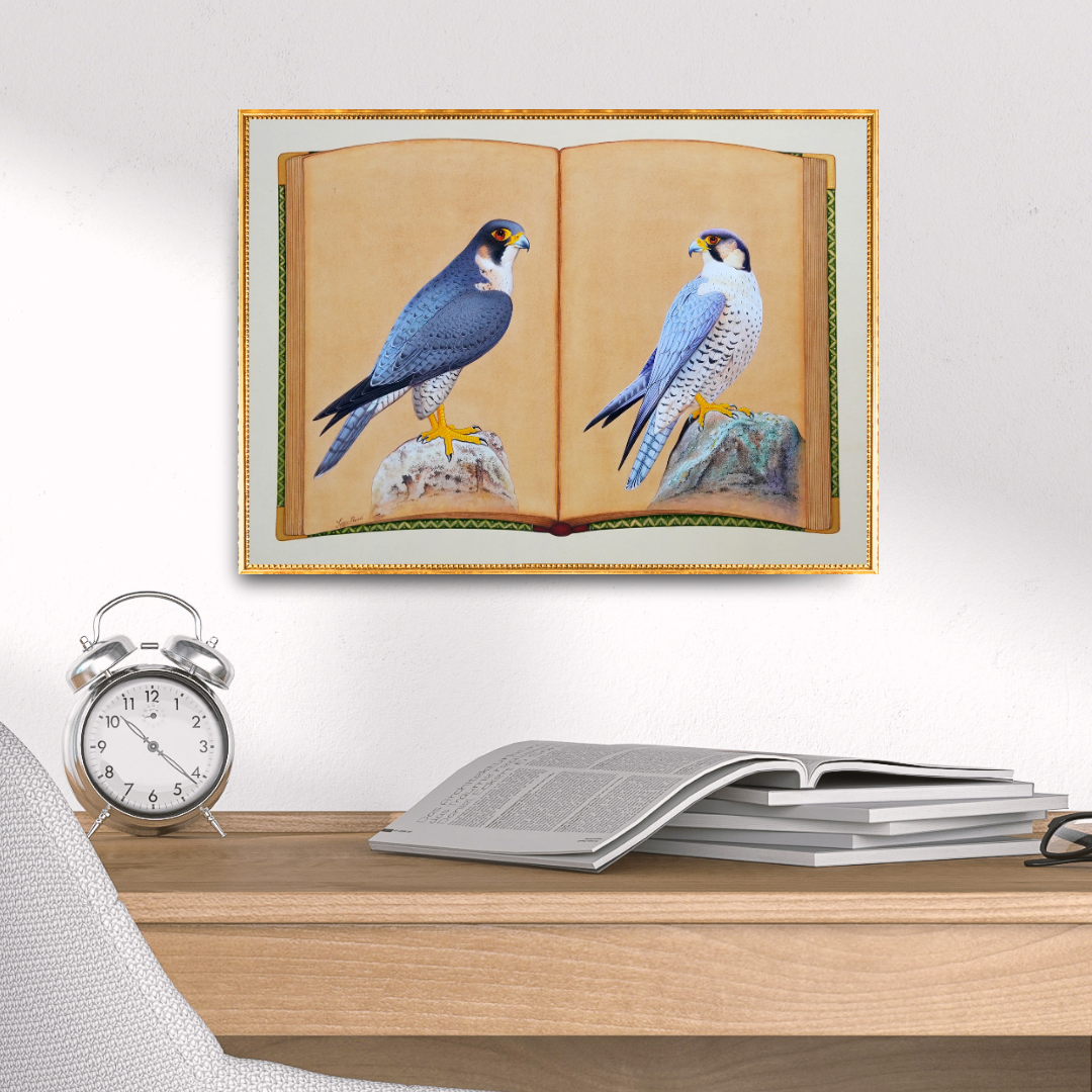 Falcon Folio - Edition 2