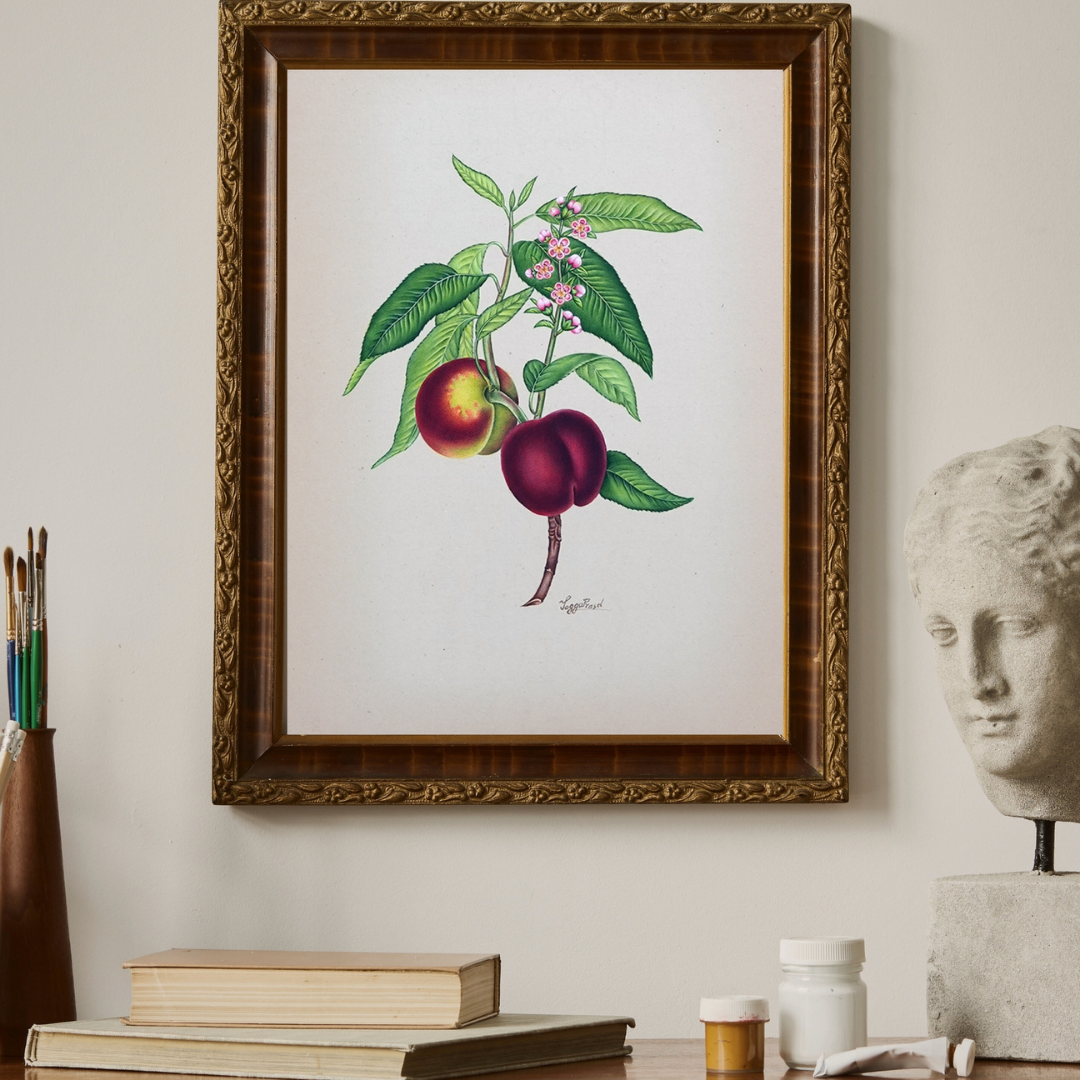 Botanicals 5 Product Image