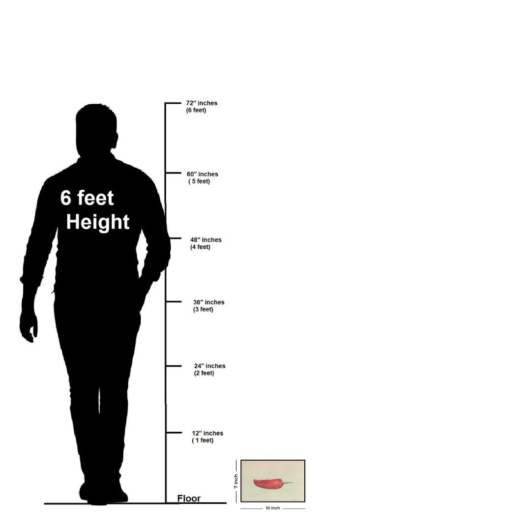 Chili Pepper (Capsicum Frutescens)