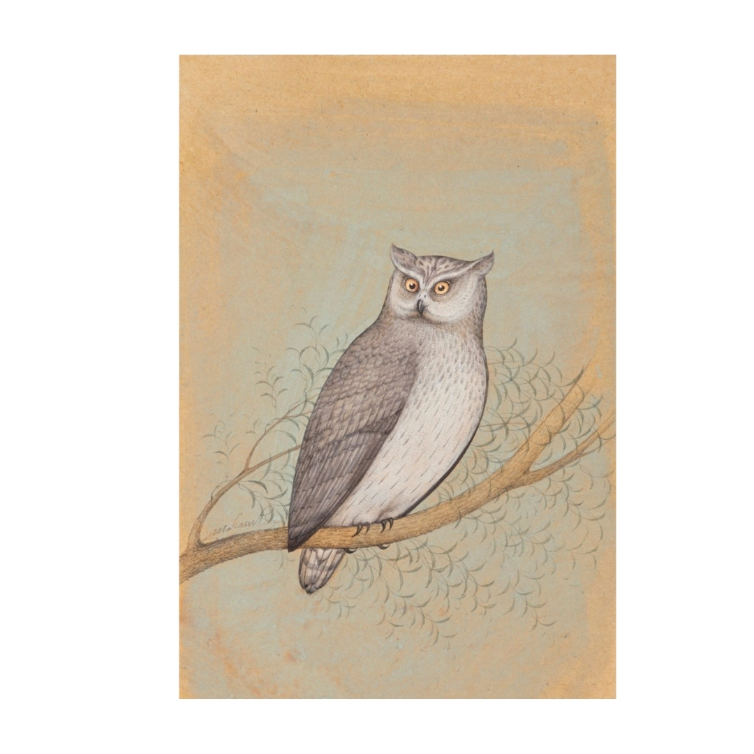 Whisper of the Night Branch