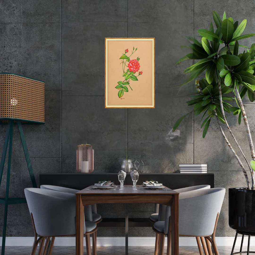 Red Garden Rose Study
