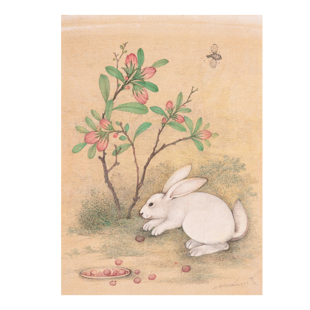 Quiet Pause of the White Rabbit