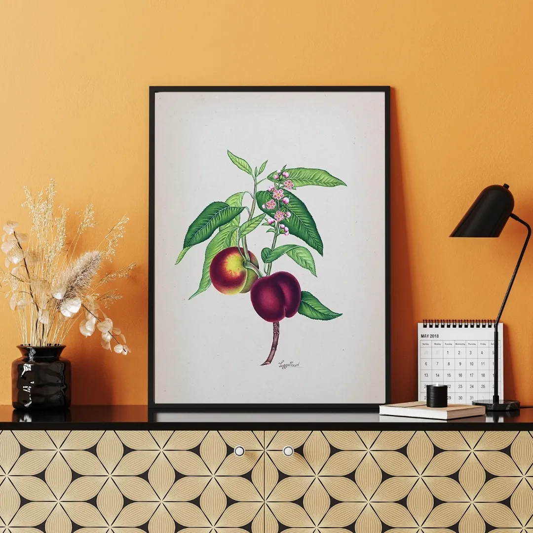 Peach Blossom and Fruit