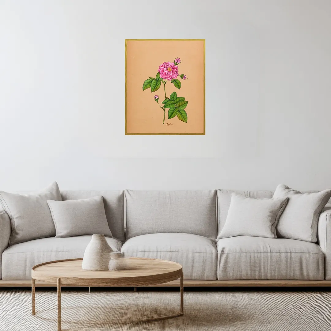 Soft Pink Rose Bloom