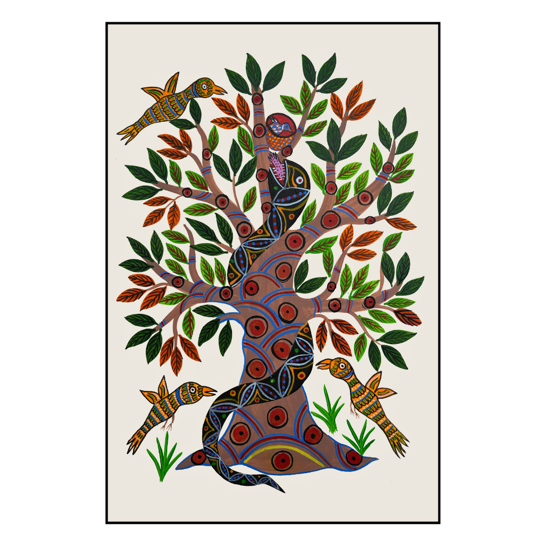Indian Fig Tree