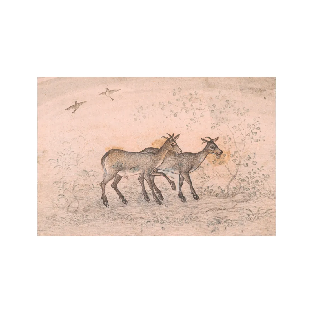 Step of the Twin Deer