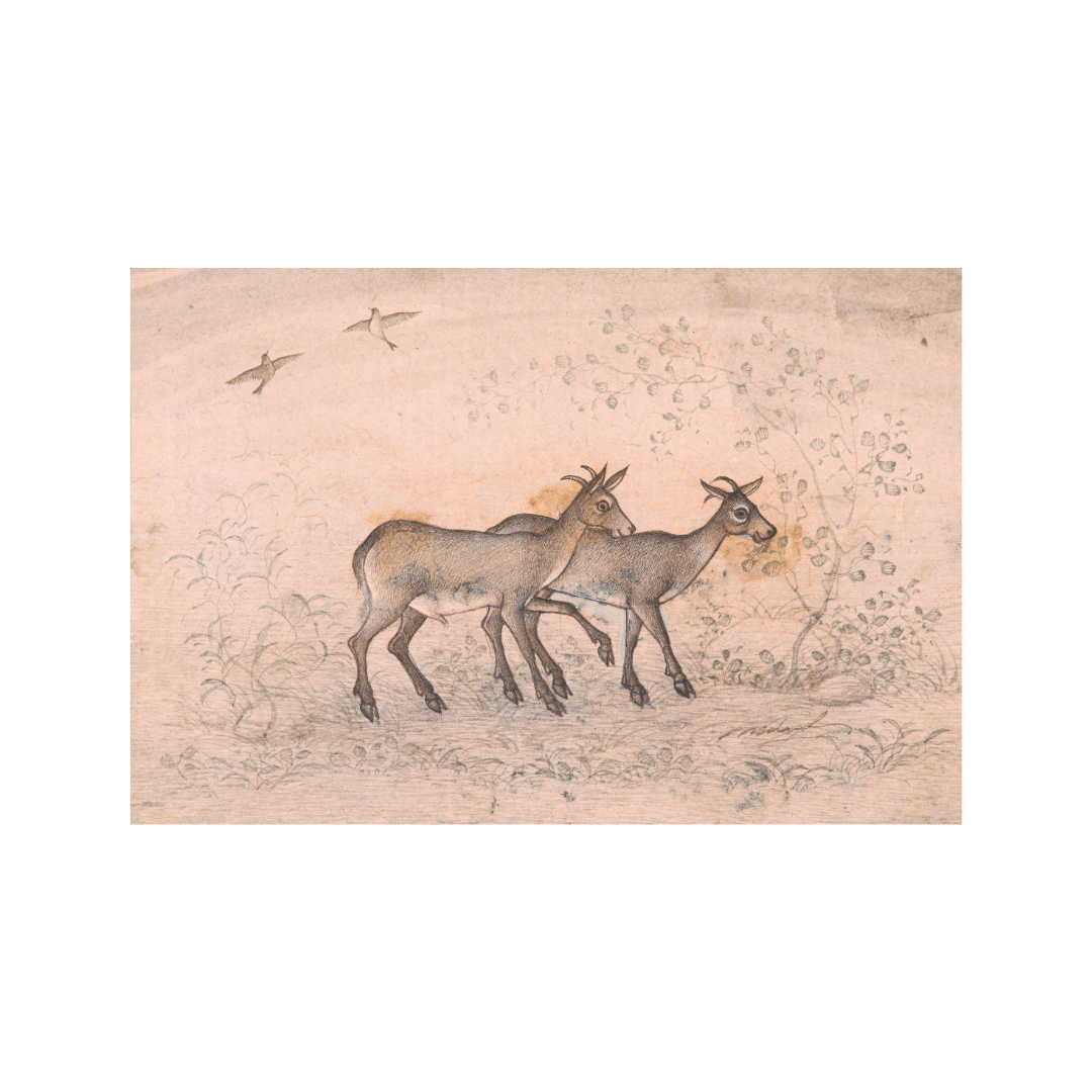 Step of the Twin Deer