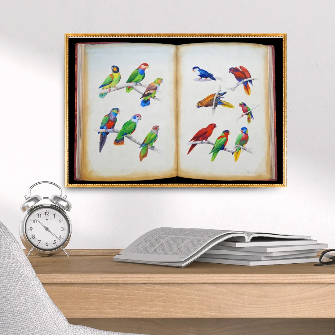 Avian Chronicle - Folio 1