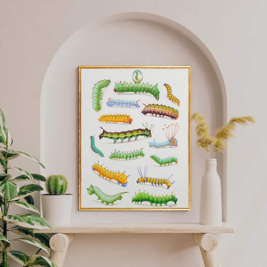 Playful Patterns