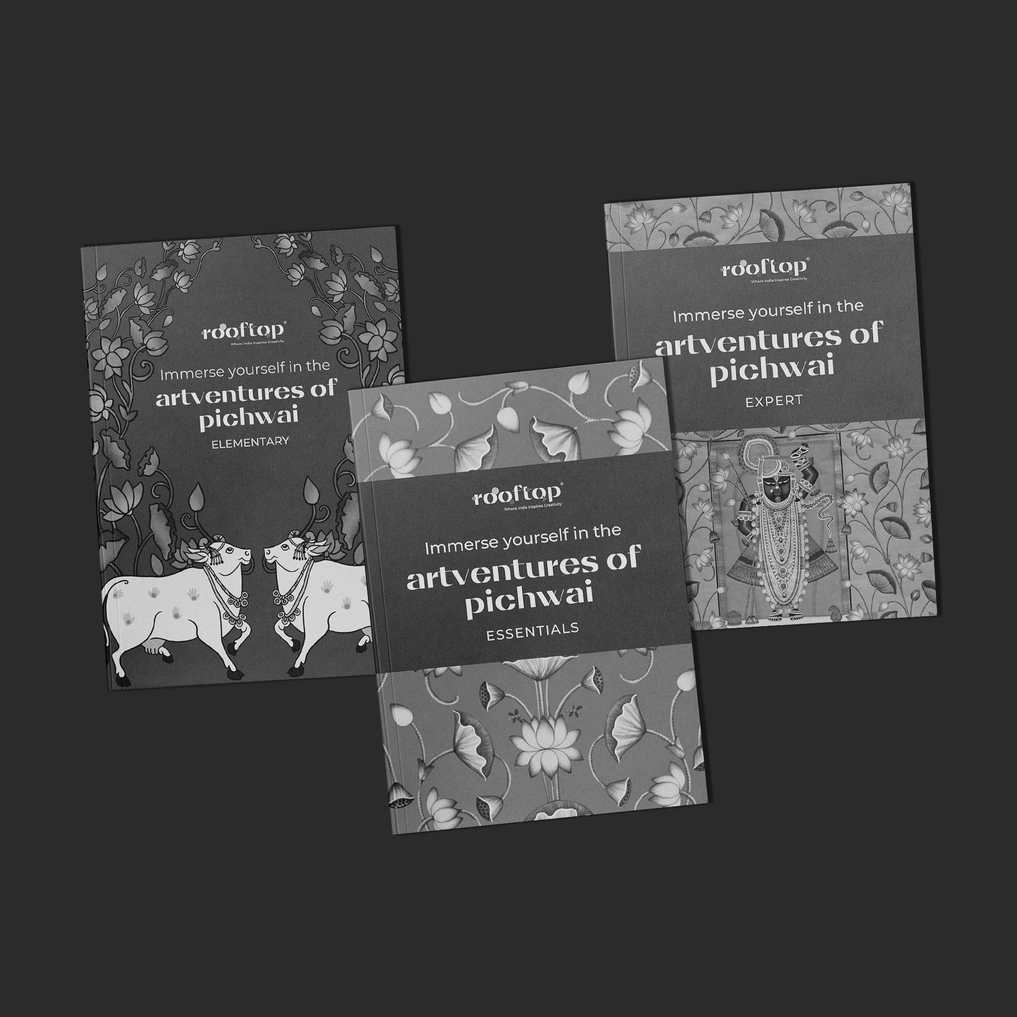 Artventures of Pichwai: The Complete Guide to Divine Art (Set of 3) Product Image