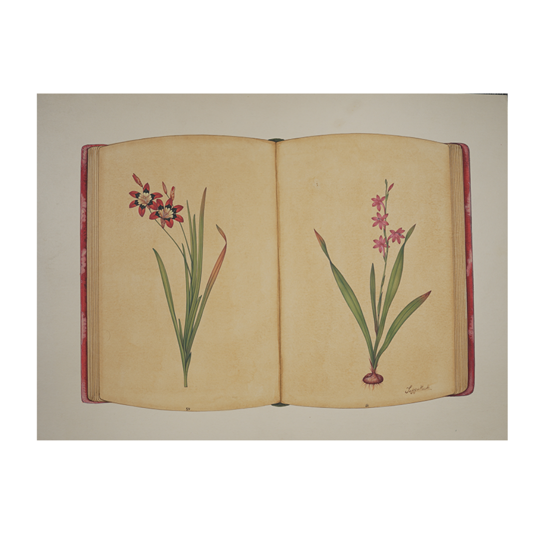 Botanical Ledger