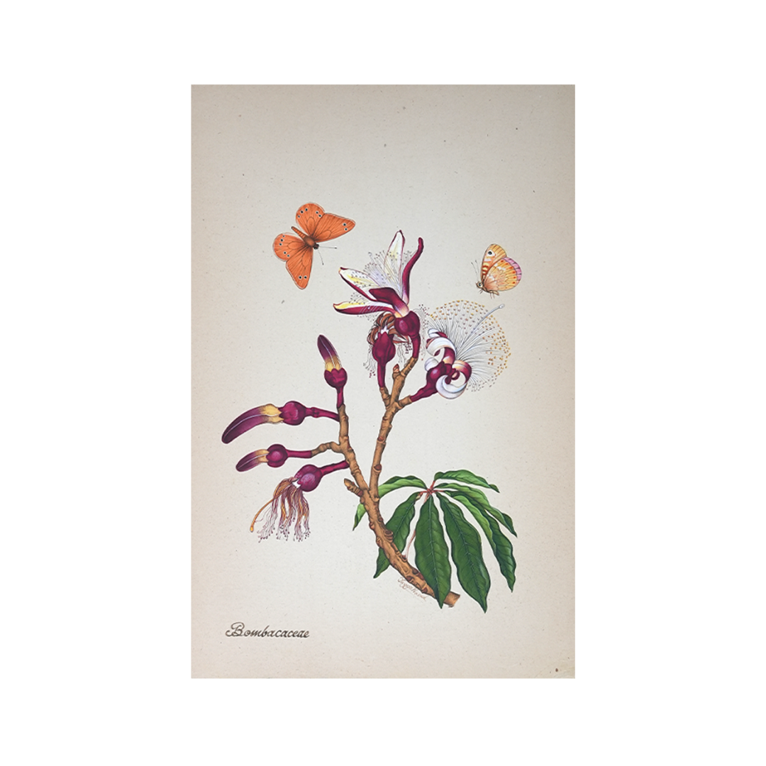 Botanicals 16