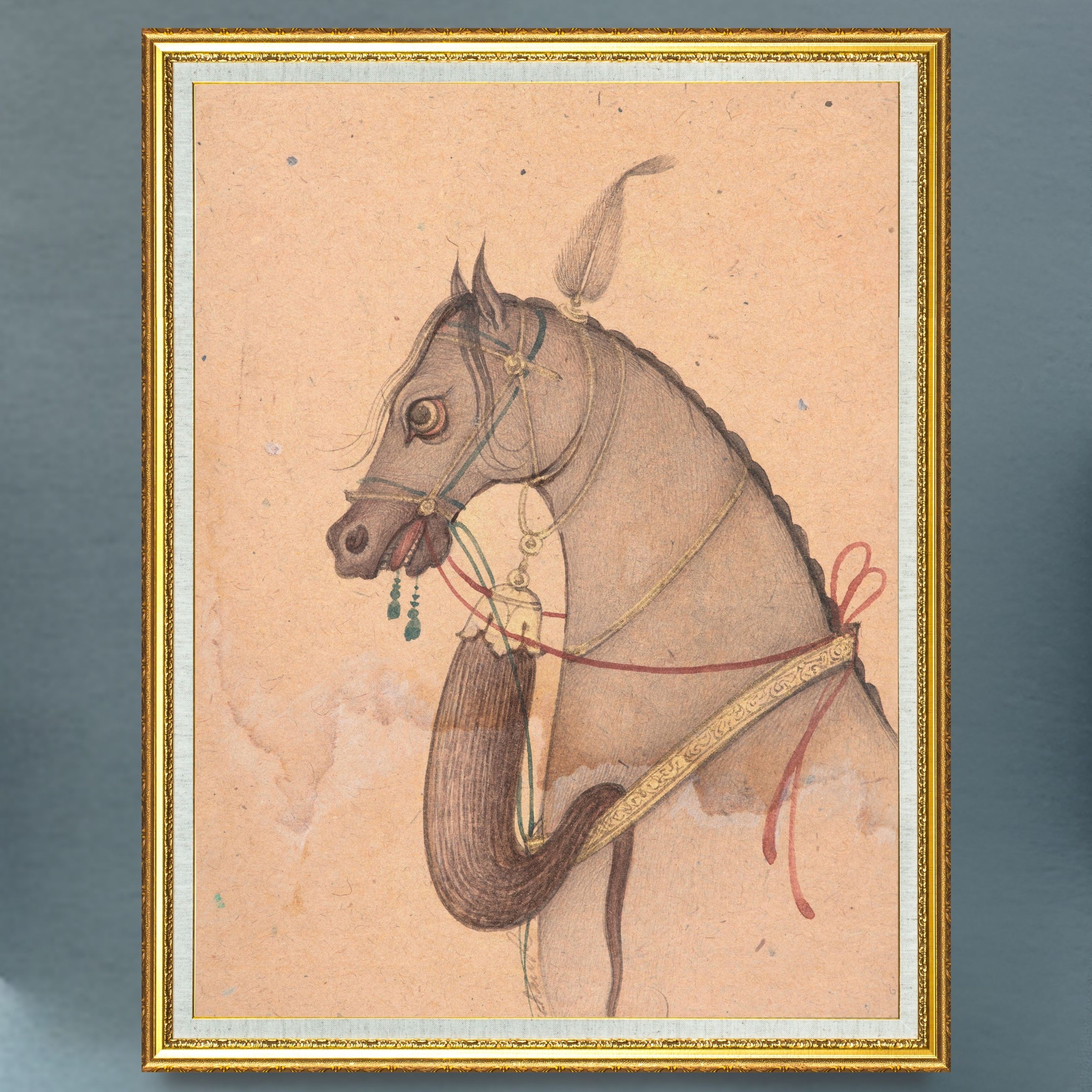 Profile of the Grey Steed