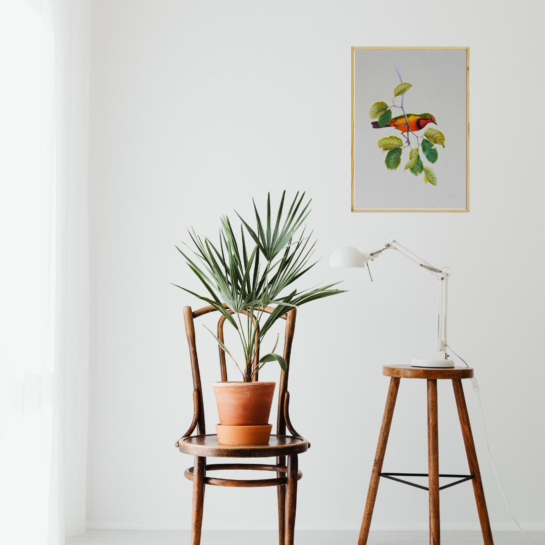 Amber Rest by Jaggu Prasad