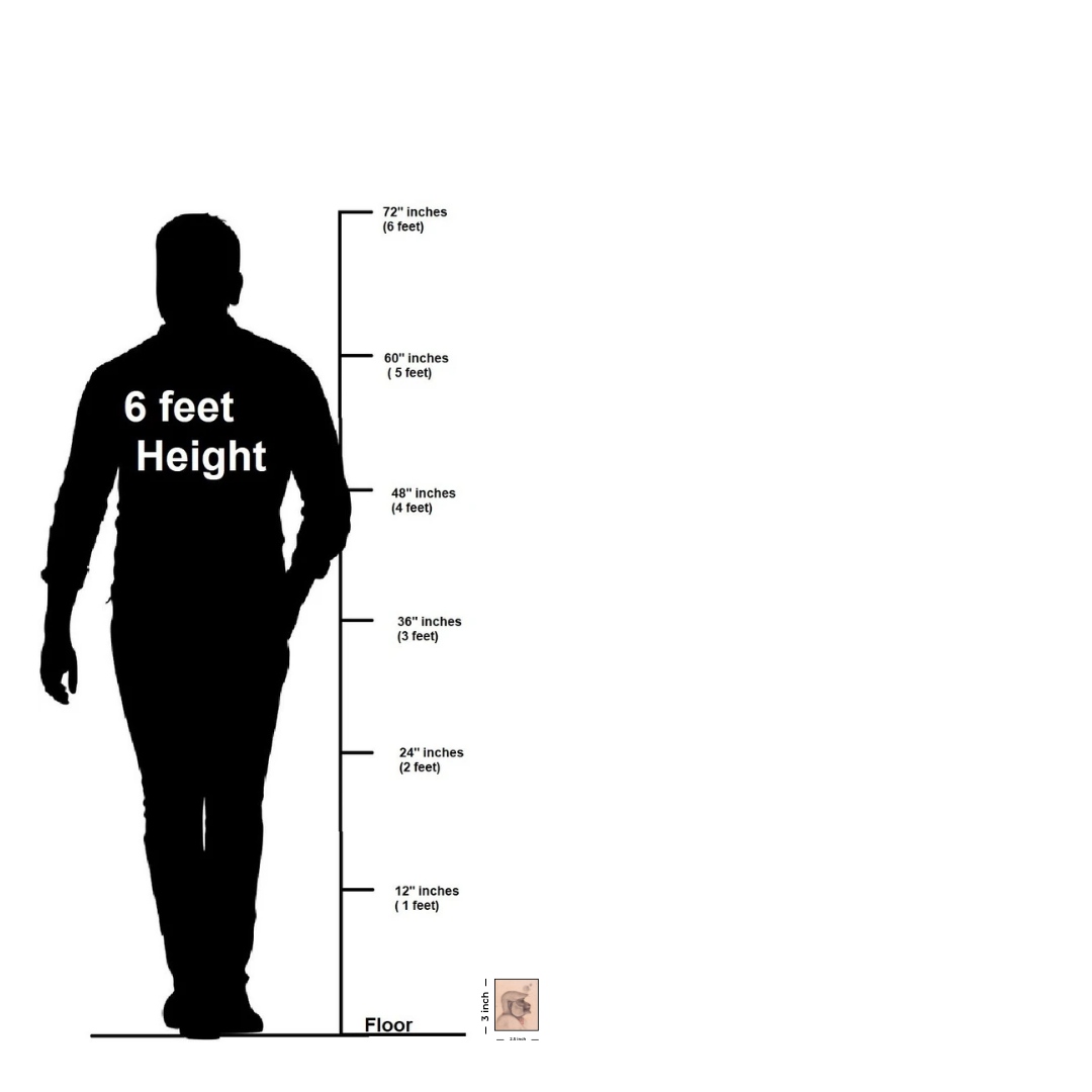 Profile of the Quiet Monkey