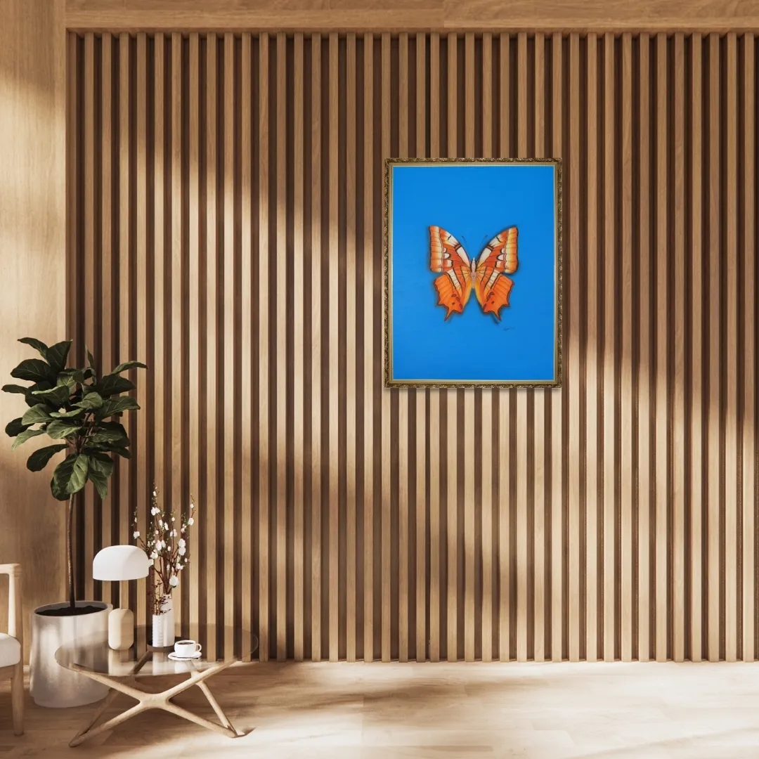 Amber Wings 