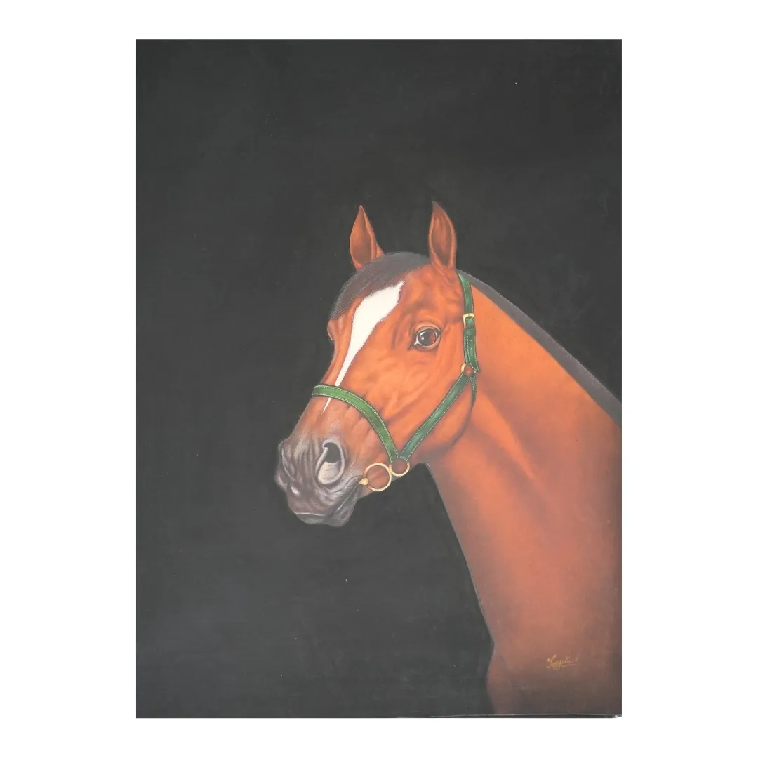 Equine Poise 