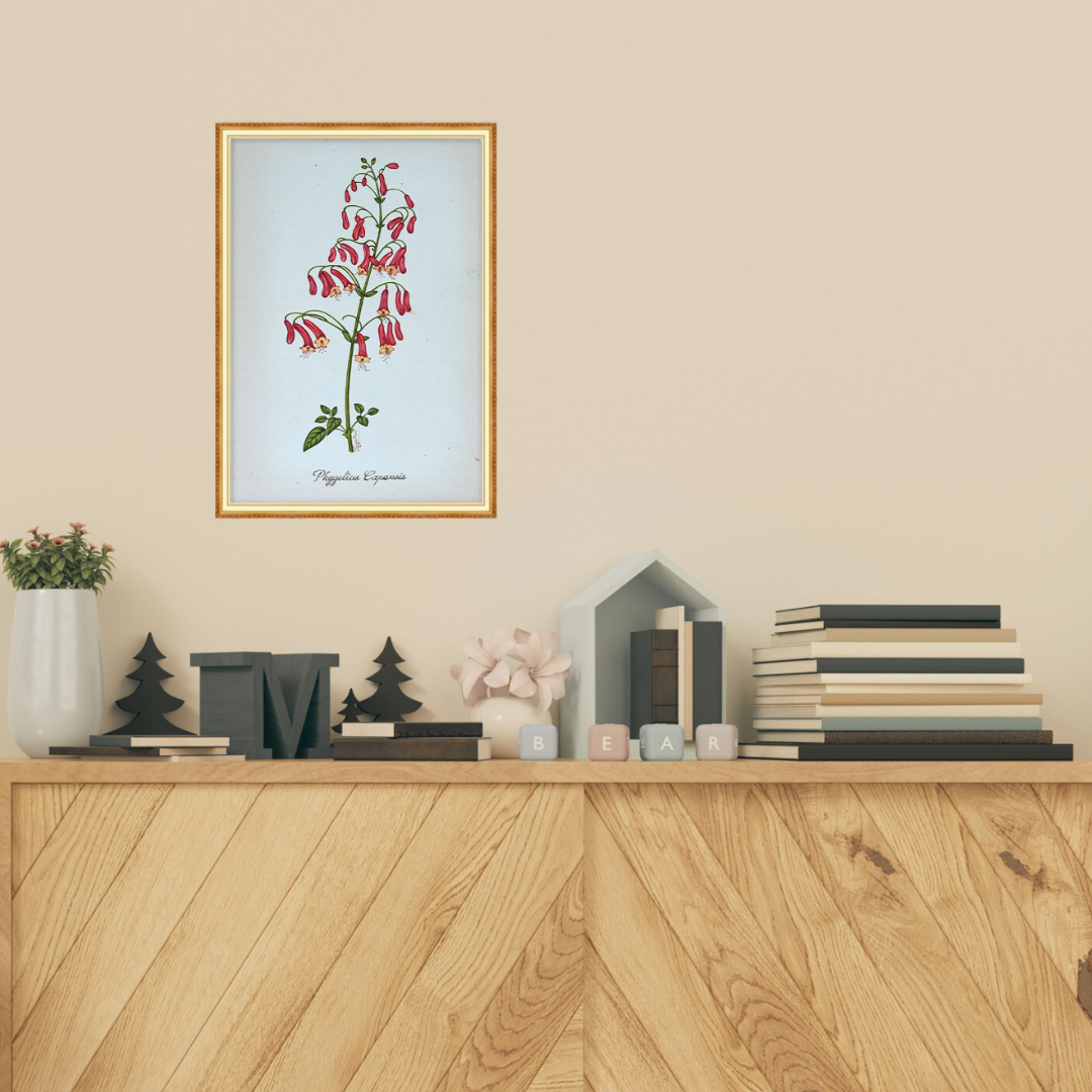 Chinese Rose Reverie 