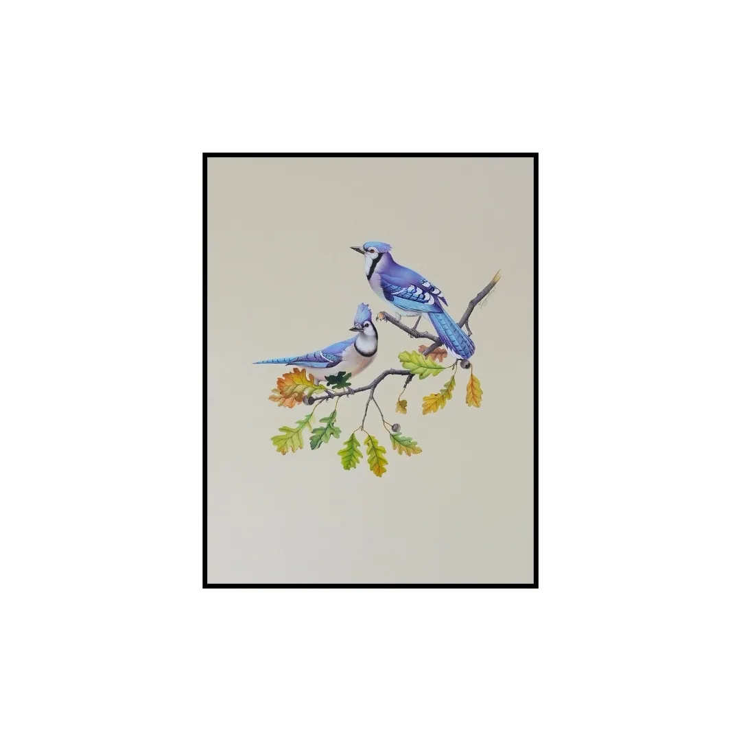 Blue Jay Companions