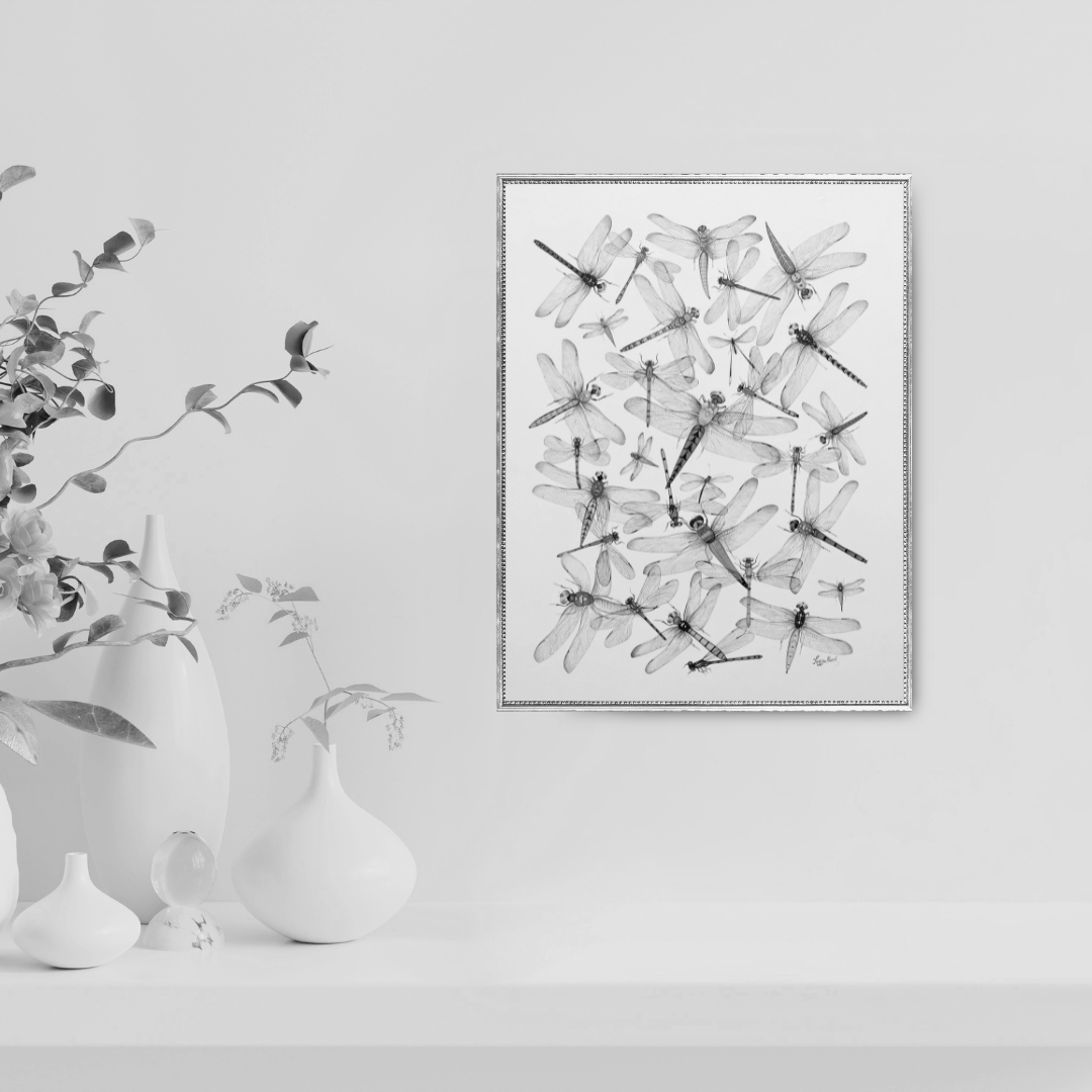 Fleeting Spark: Fireflies 3