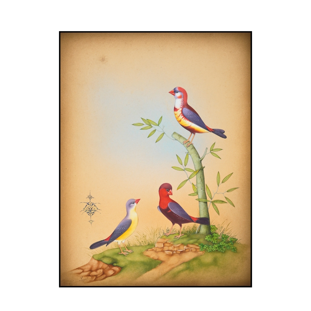 Gathered Tranquility 