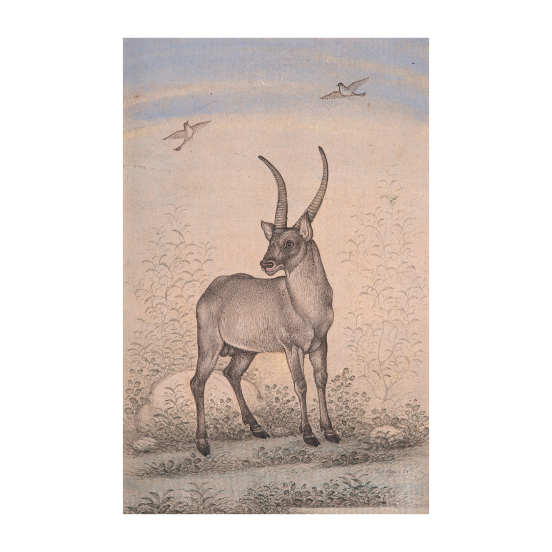 Quiet Stance Under Open Skies