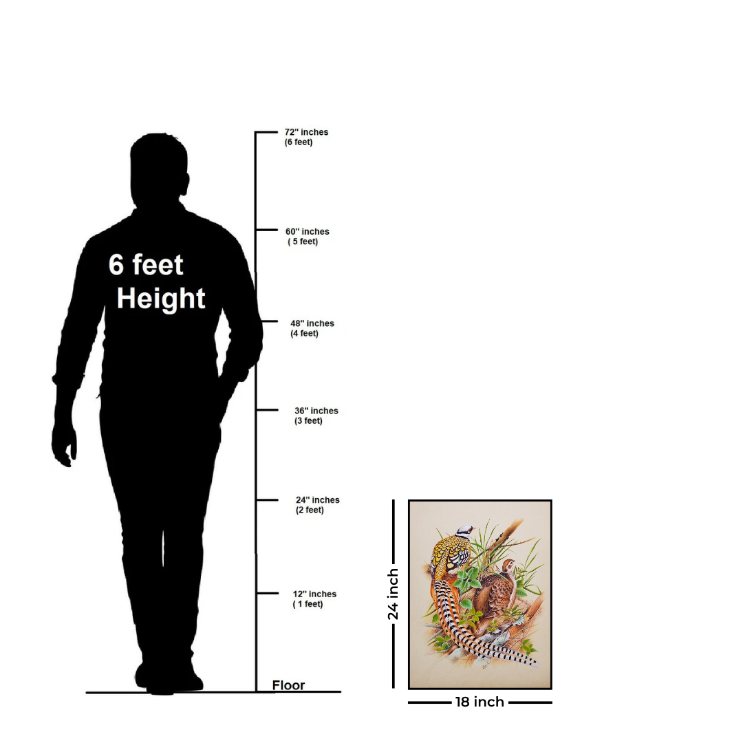 The Poetry of Plumage