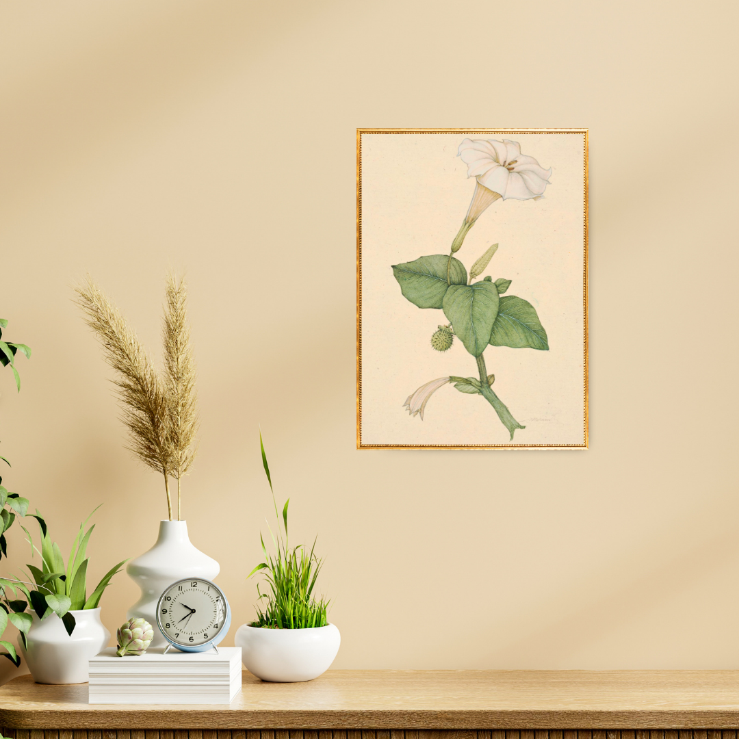 Moonlit Bloom Product Image