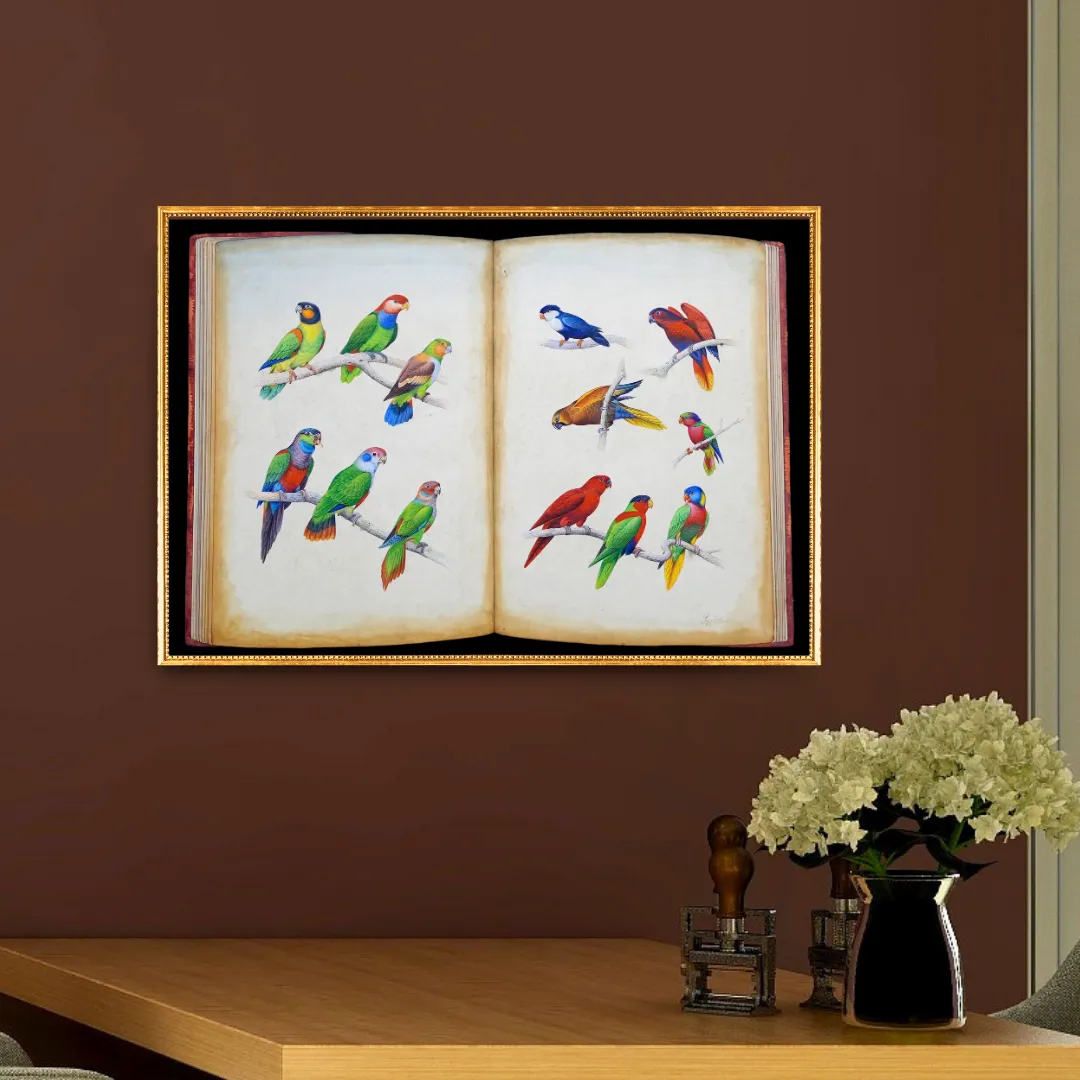 Avian Chronicle - Folio 1