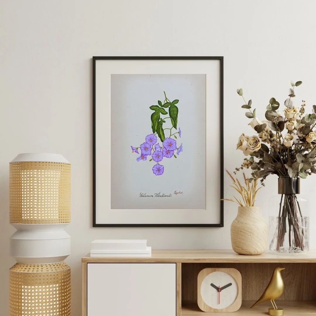 Crownflower Stillness