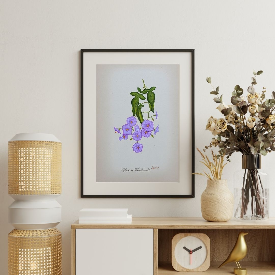Crownflower Stillness