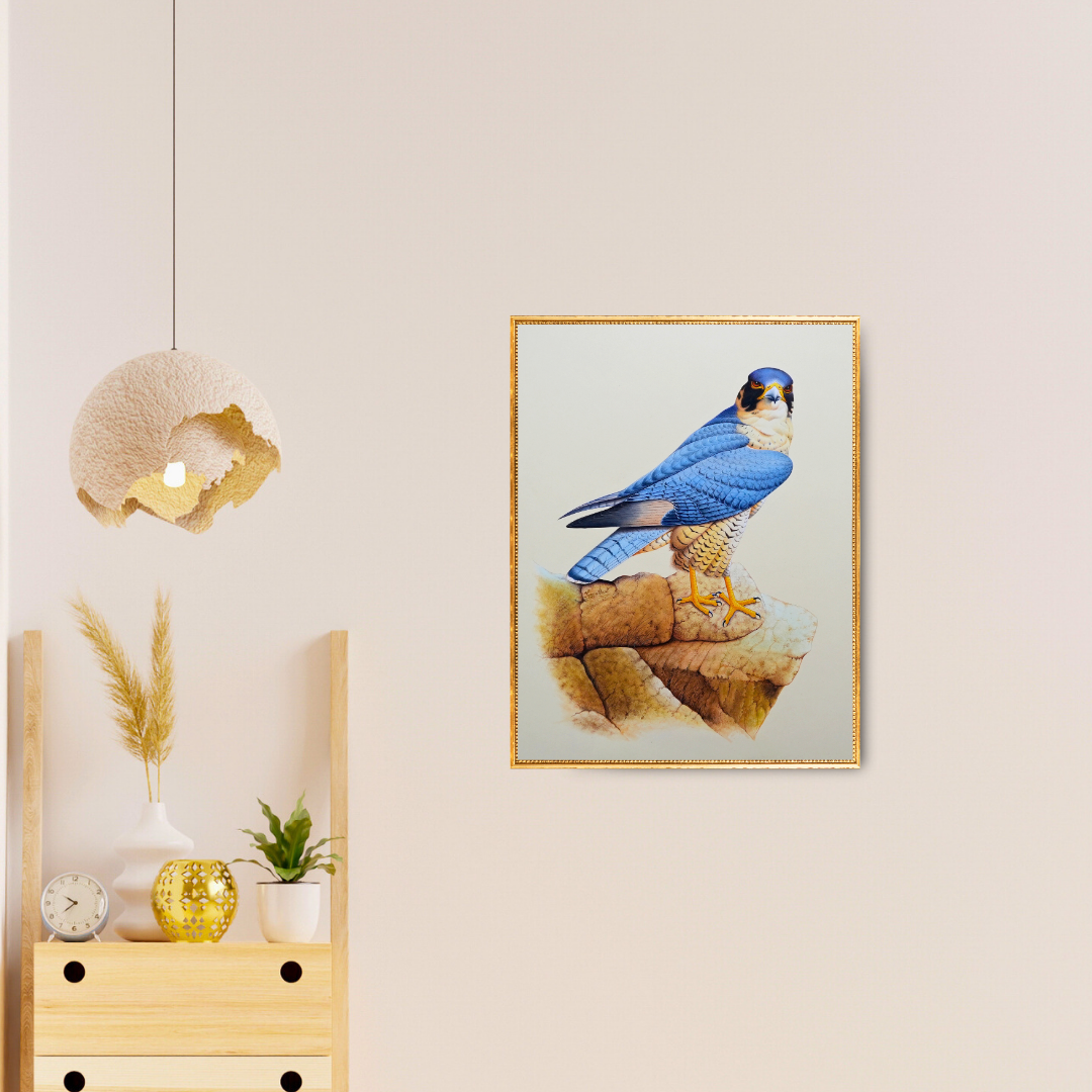 The Legacy: Falcon Folio 3