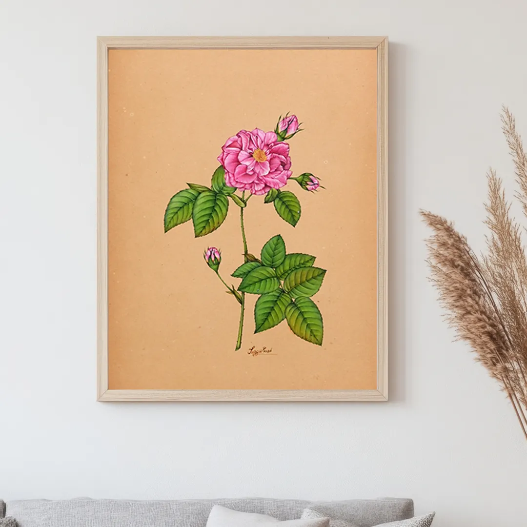 Soft Pink Rose Bloom
