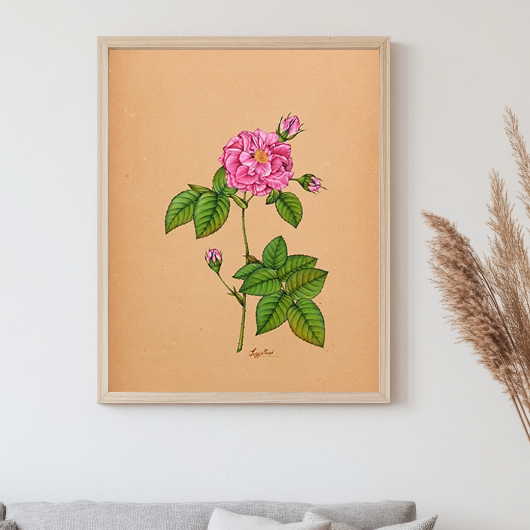 Soft Pink Rose Bloom