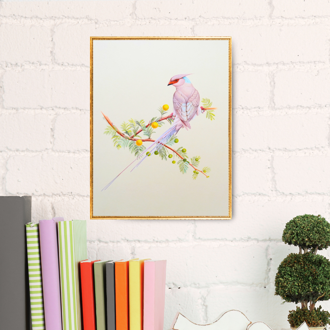 Still & Beautiful Product Image