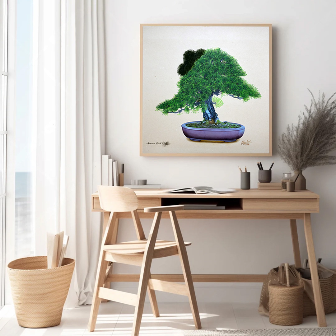 Japanese Red Pine