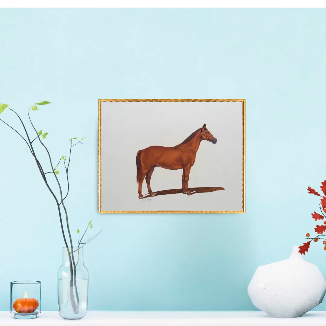The Brown Silhouette
