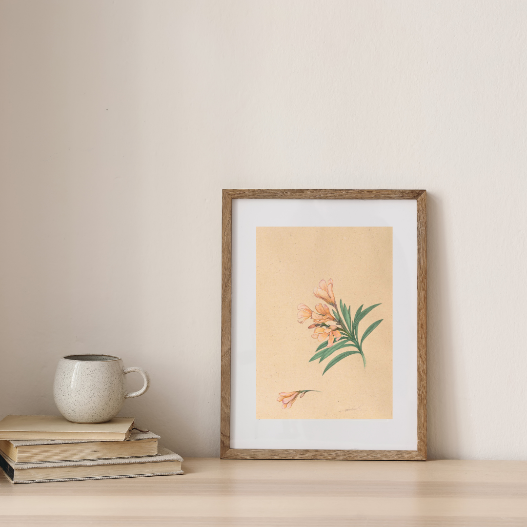 Soft Dawn Product Image